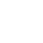 American Board of Endodontics